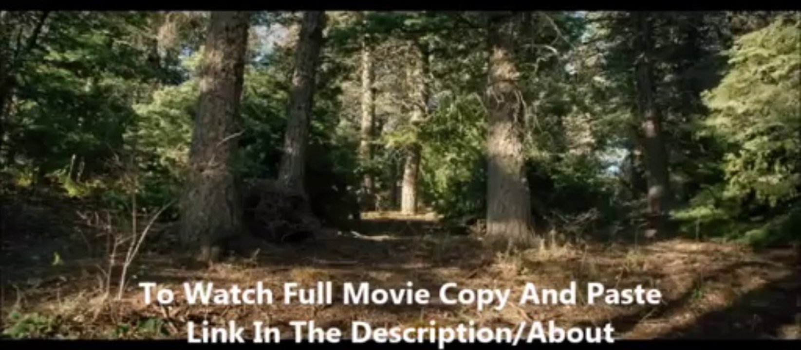 watch Lone Survivor online