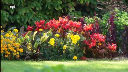 FESTIVAL D'IMAGES.VSP revu