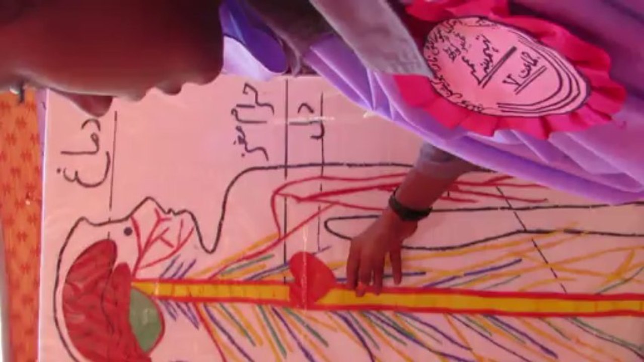 Nervous System