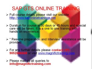 BEST SAP GTS TRAINING ONLINE