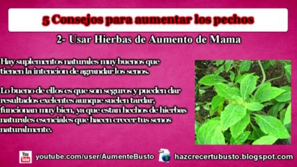 como hacer crecer los senos en una semana