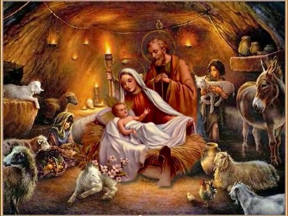 noel blanc ...mamifer 2017