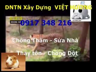 Sơn sửa nhà đón Tết ở quận 6 gọi / Thanh 0917 348216