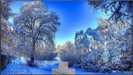 Splendeurs d'Hiver (PP720)
