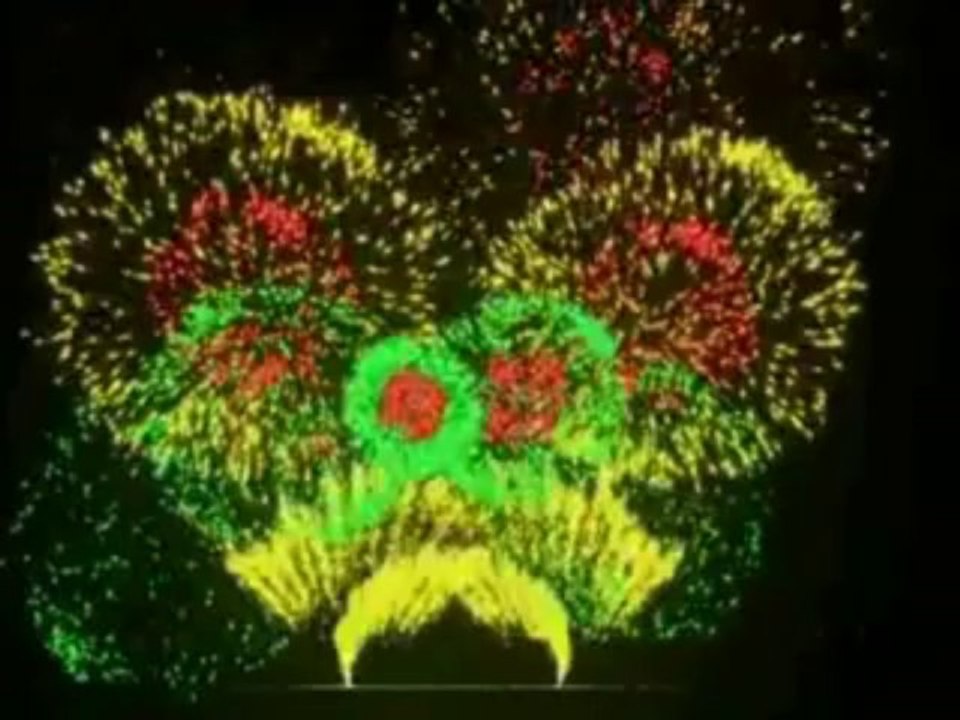 bonne année 2014
