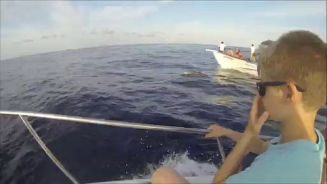 Dolphin cruise 2013 Maldives