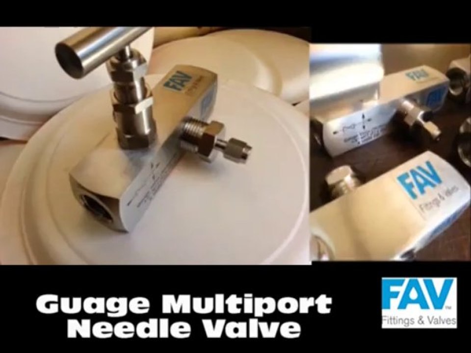 Needle Guage Valves-Multiport Type,10000 psi