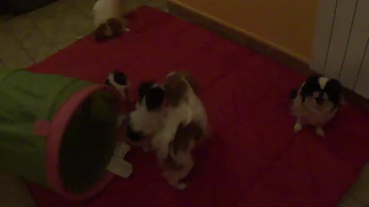 M4H04013 ON JOUE AVEC LES GRANDS