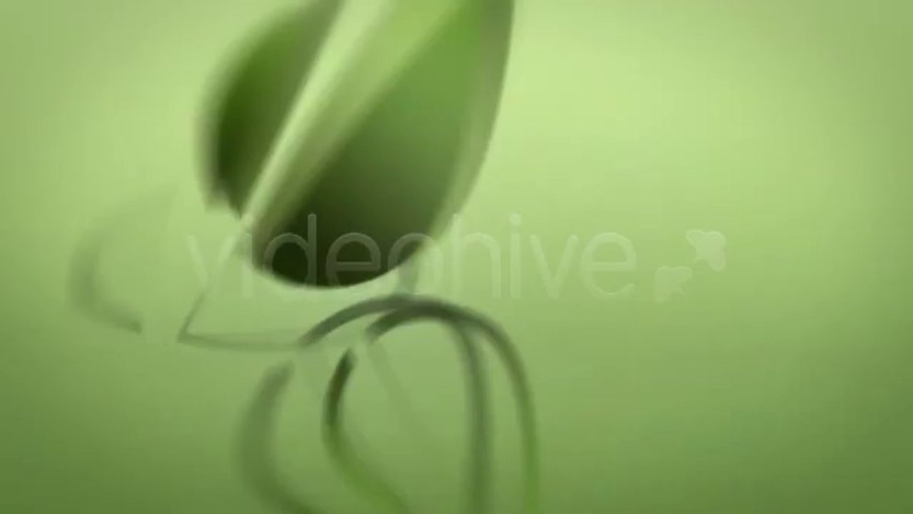 Logo Icon Reveal - After Effects Template