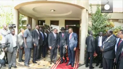 Güney Sudan krizi için komşu ülkeler harekete geçti