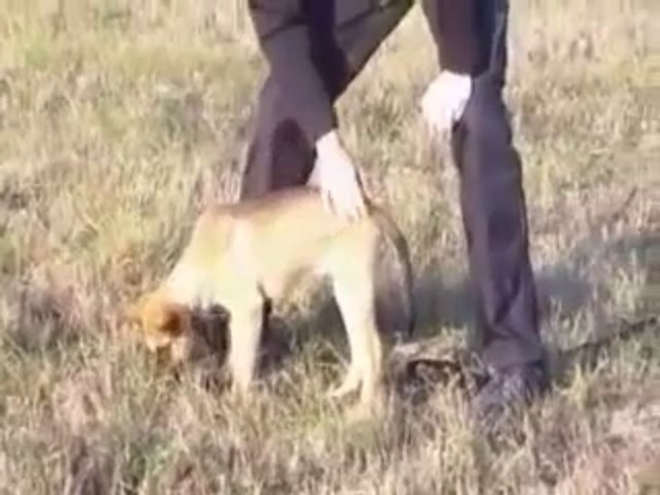 Be Aware Dope @ Tracking 10 Weeks