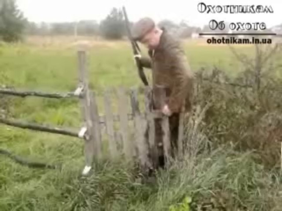 Осенняя охота на пернатых 2012/13