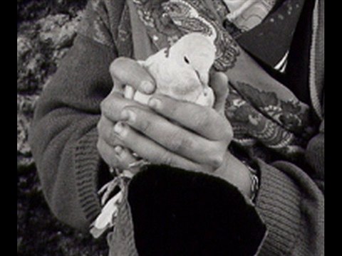 PRÉVERT, Jacques - Chanson de l'oiseleur.