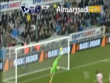 Goal Oussama Assaidi vs Newcastle United