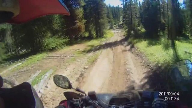 Renegade 800 Quad Bike Offroading Action