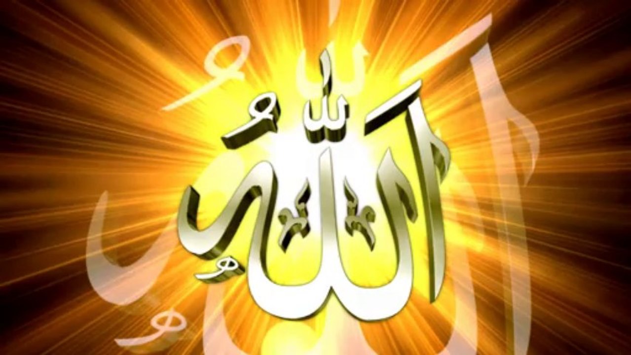 HAYAT VERME DELİLİ