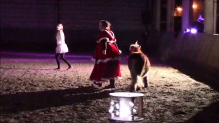 Lubo- Spectacle de Noël 2013