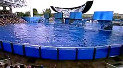 PETER MERGENER - Julias Dream