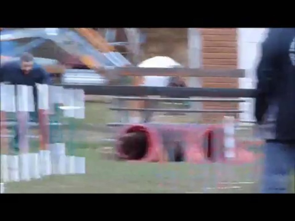 agility261213_0