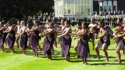 Um mundo de curiosidades em 2013