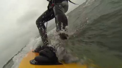 La Bergerie - Mars 2013