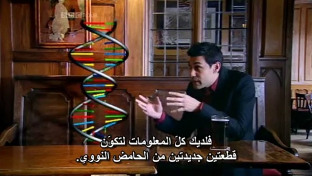 الخلية 2
