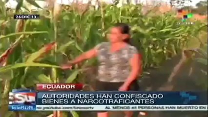 Ecuador aumentó 35% sus incautaciones de drogas en 2013