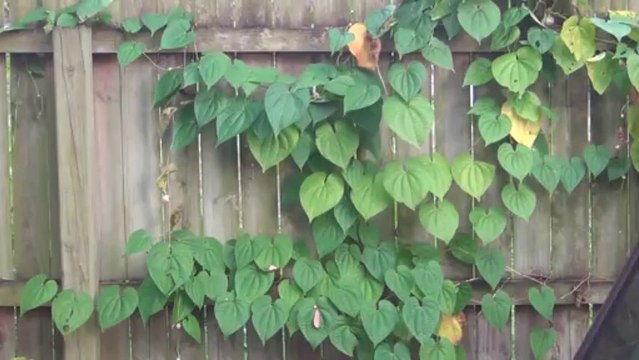 실시간카지노주소☜◀◀ＬＯＶＥ７９４２.ＣＯＭ☜◀◀실시간카지노주소