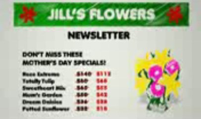 Adelaide Website Design