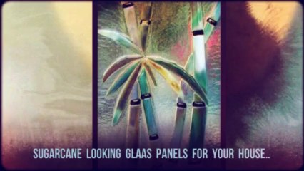 Glass panels carrum Ideas for Safety and Privacy