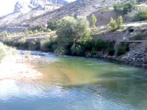 Ali Ekber Çiçek - mektup selam söyle benden sılaya