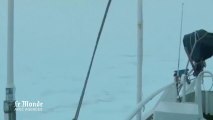 Un bateau russé bloqué par les glaces en Artarctique