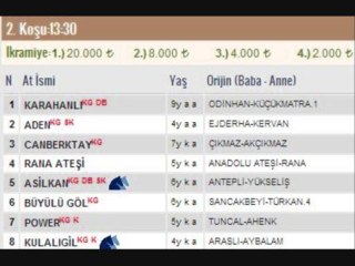 kocaeli at yarışı