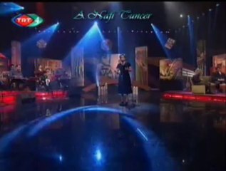 Aysun GÜLTEKİN-Kadem Bastı Gönül Tahtı