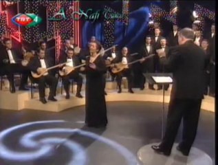 Aysun GÜLTEKİN-Beni Görüp Yüzün Öte Dönderme