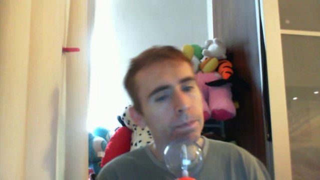 Wiwi égratigne les filles de 1973 de Vincent Delerm