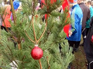 Немцы отказываются толстеть, бегая за гусём