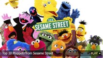 Top 10 Muppets from Sesame Street