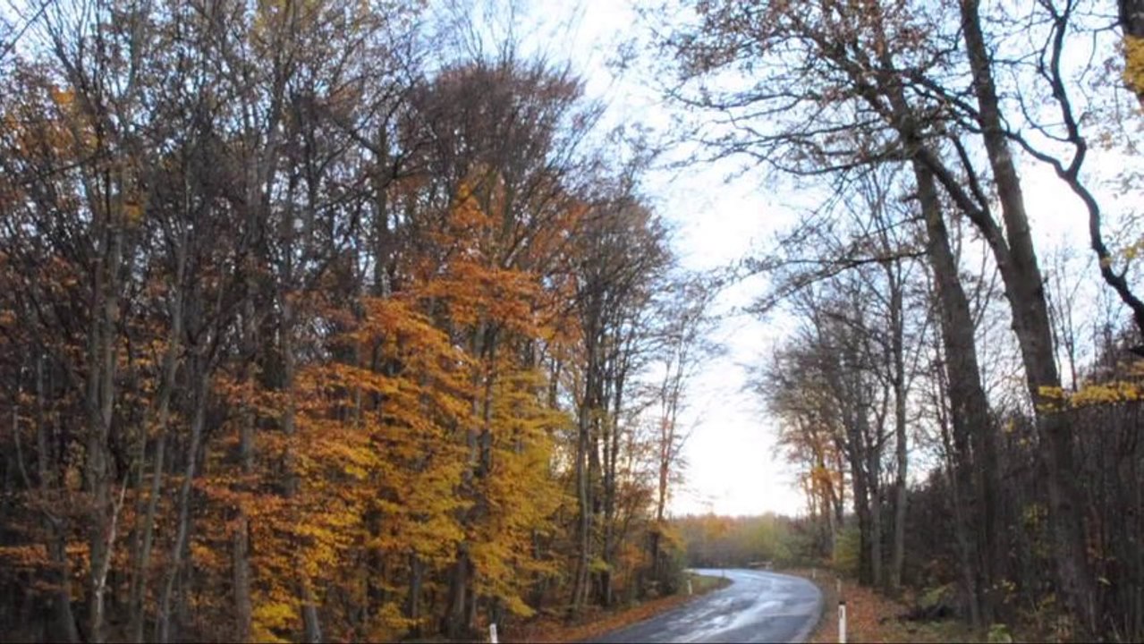 VW Golf 7 DSG-Automatik, Navigation im Test