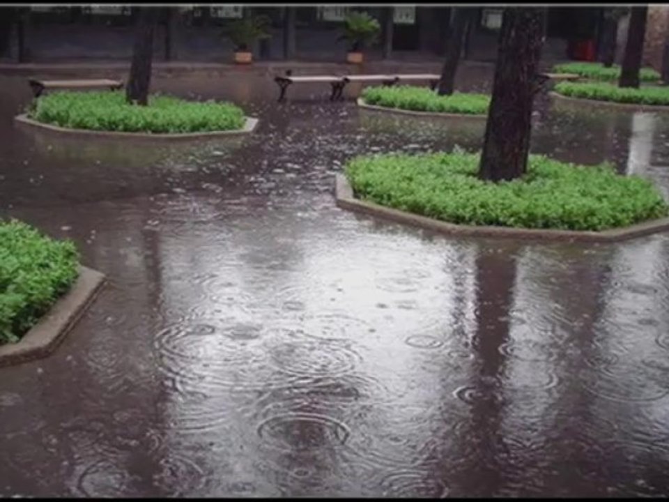 Tomber - G. De Palmas - cover by Benjamin