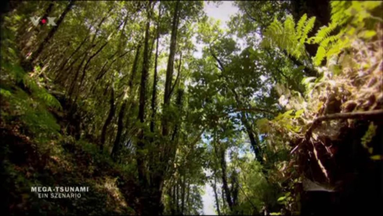 Mega Tsunami Teil 1