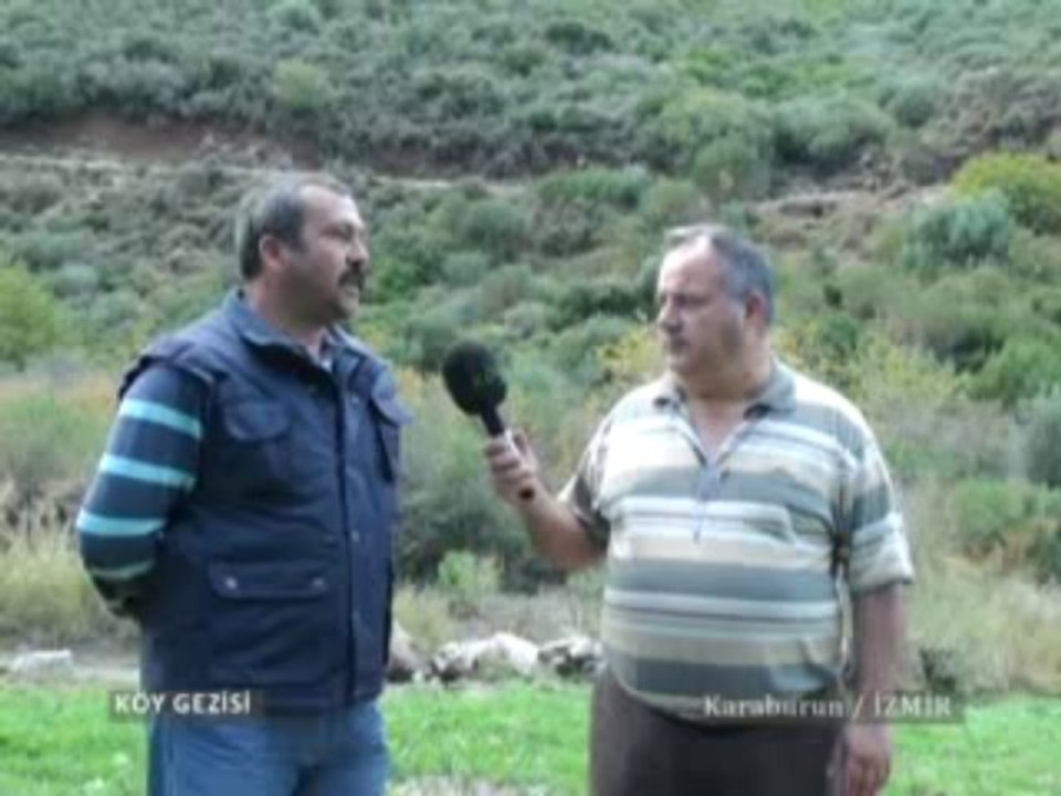 146 Karaburun Nergis Çiçeği