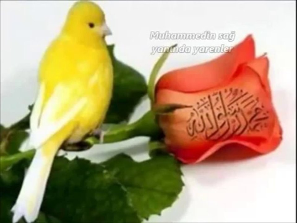AHMET DURAN--MUHAMMEDİN O GÖZLERİ SÜRMELİ