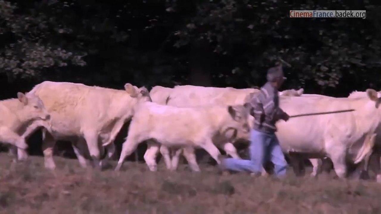 Bovines française film 2013 télécharger entier version complet