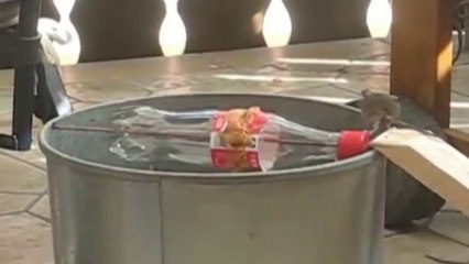 Piège à souris ingénieux