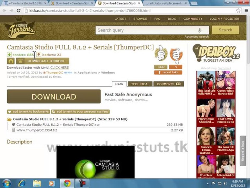 Which Is Best Torrent File To Download Urdu Video Tutorial