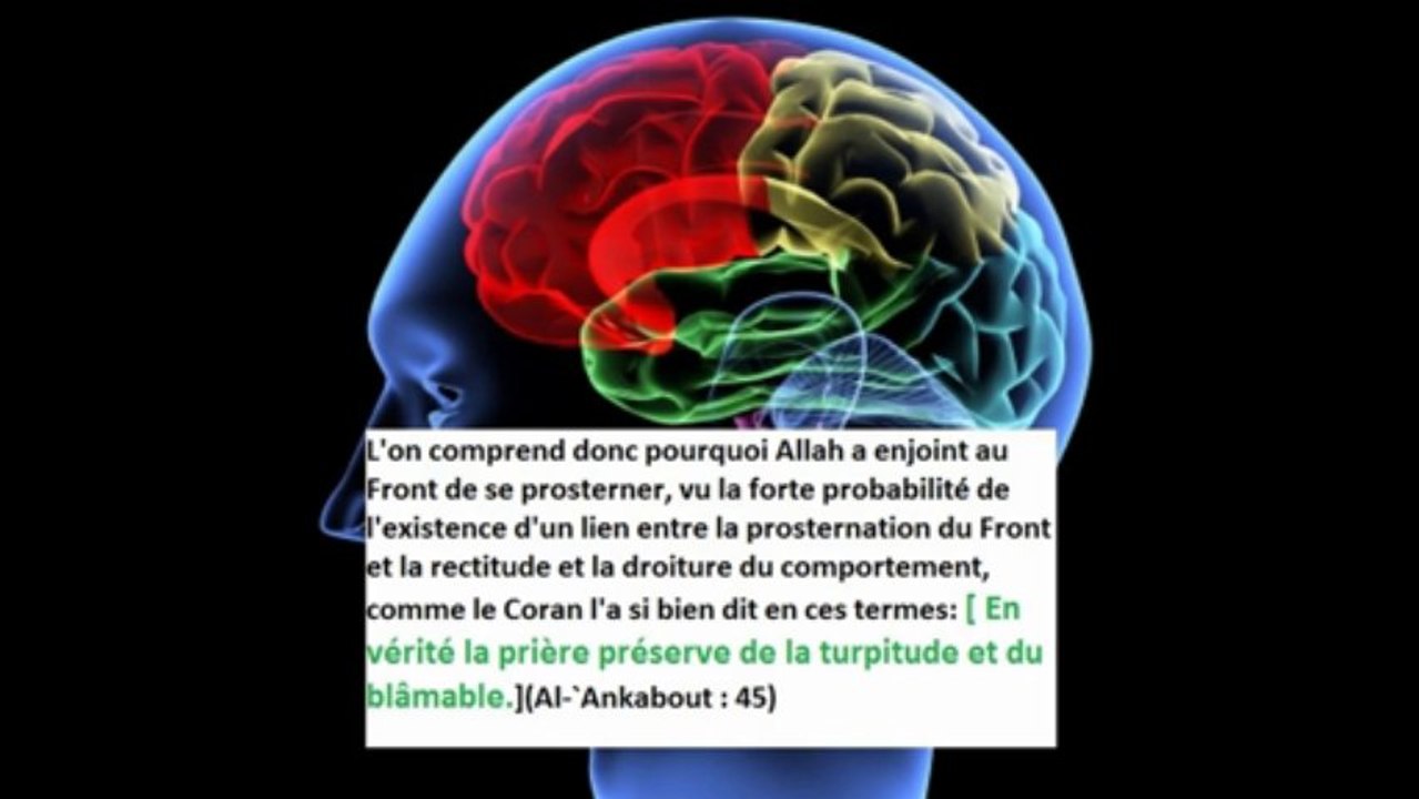 Miracle du coran : le cerveau humain et le toupet