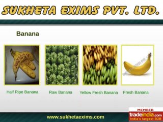 SUKHETA EXIMS PVT LTD, Aurangabad, Maharashtra, India