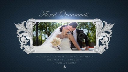 Royal Wedding Vintage Elegant Pack - After Effects Template