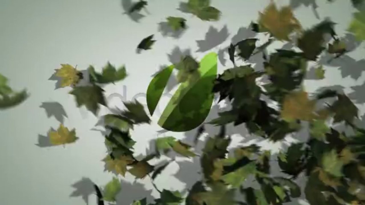Maple Leaves Ident - After Effects Template